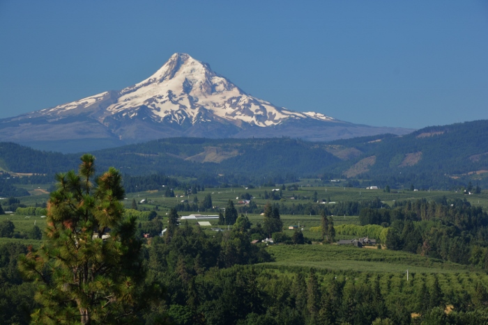 Mt Hood from a distance